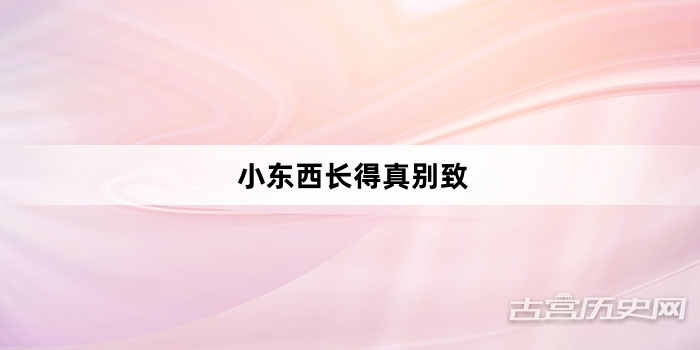 “小东西长得真别致”网络梗词解释
