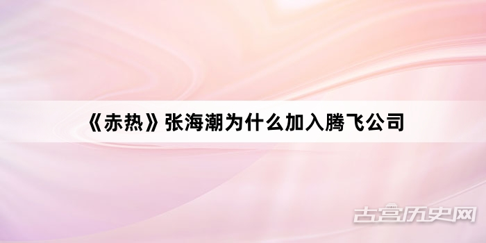 《赤热》张海潮为什么加入腾飞公司