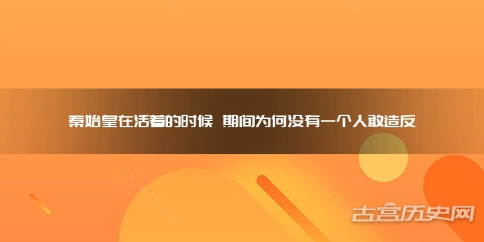 秦始皇在活着的时候 期间为何没有一个人敢造反