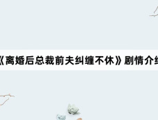 《离婚后总裁前夫纠缠不休》剧情介绍