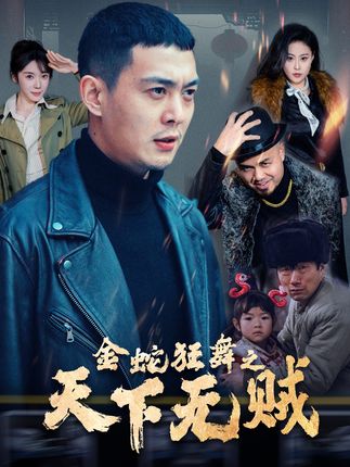 《金蛇狂舞之天下无贼》剧情介绍