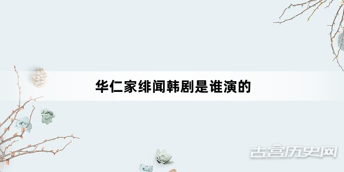 华仁家绯闻韩剧是谁演的