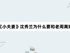 《小夫妻》沈秀兰为什么要和老周离婚