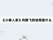 《小巷人家》向鹏飞的结局是什么