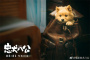 中国版《忠犬八公》剧情介绍