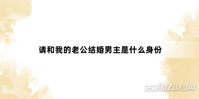 请和我的老公结婚男主是什么身份