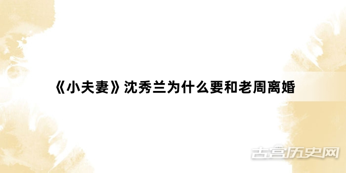 《小夫妻》沈秀兰为什么要和老周离婚