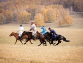 蒙古族的传统体育项目