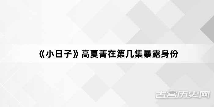 《小日子》高夏菁在第几集暴露身份