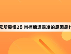 《无所畏惧2》肖楠楠遭霸凌的原因是什么