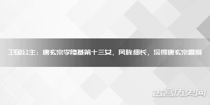 卫国公主：唐玄宗李隆基第十三女，凤眸细长，深得唐玄宗喜爱