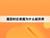 雁回时庄寒雁为什么被弃养