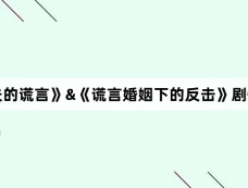 《丈夫的谎言》&《谎言婚姻下的反击》剧情介绍
