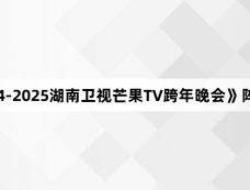 《2024-2025湖南卫视芒果TV跨年晚会》阵容介绍