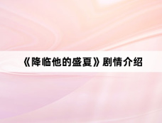 《降临他的盛夏》剧情介绍