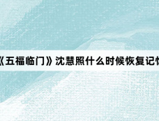 《五福临门》沈慧照什么时候恢复记忆