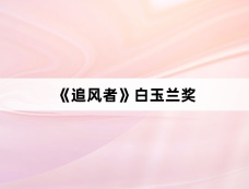 《追风者》白玉兰奖