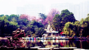 洛阳八小景的西苑池塘是什么
