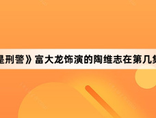 《我是刑警》富大龙饰演的陶维志在第几集上线