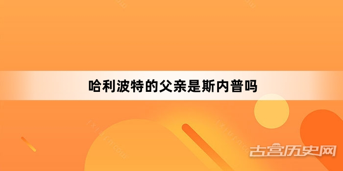 哈利波特的父亲是斯内普吗