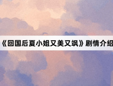 《回国后夏小姐又美又飒》剧情介绍