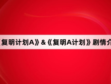 《复明计划A》&《复明A计划》剧情介绍