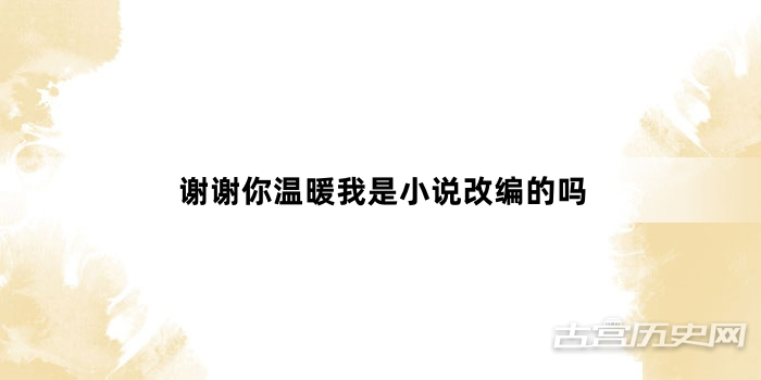 谢谢你温暖我是小说改编的吗