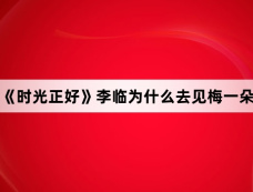 《时光正好》李临为什么去见梅一朵