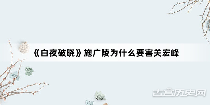 《白夜破晓》施广陵为什么要害关宏峰
