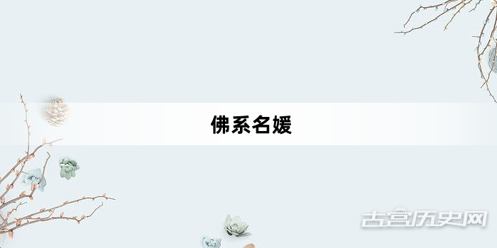 “佛系名媛”网络梗词解释