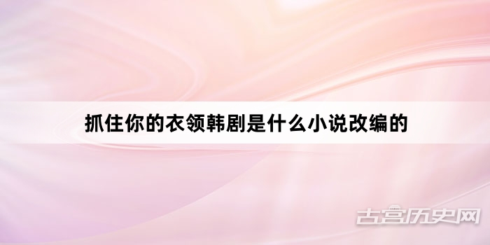 抓住你的衣领韩剧是什么小说改编的