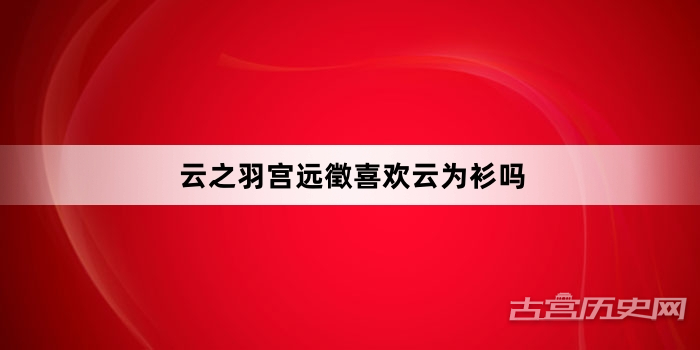 云之羽宫远徵喜欢云为衫吗