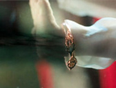 《苍兰诀》赤地女子元神下落