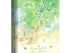 电视剧《陷入我们的热恋》原著小说介绍