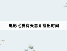 电影《爱有天意》播出时间