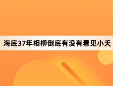 海底37年相柳倒底有没有看见小夭