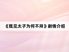 《既见太子为何不拜》剧情介绍