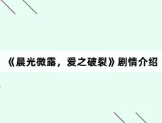 《晨光微露,爱之破裂》剧情介绍