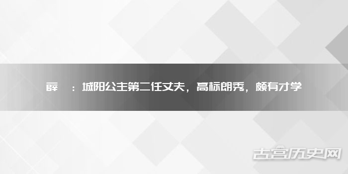 薛瓘：城阳公主第二任丈夫，高标朗秀，颇有才学