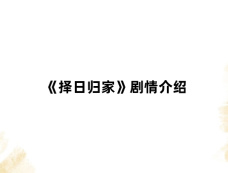 《择日归家》剧情介绍