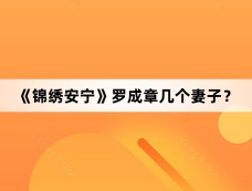 《锦绣安宁》罗成章几个妻子？