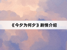 《今夕为何夕》剧情介绍