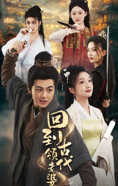 《回到古代领老婆》剧情介绍