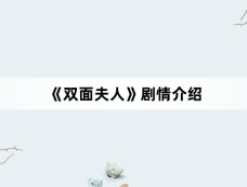 《双面夫人》剧情介绍