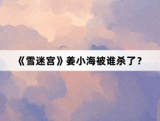 《雪迷宫》姜小海被谁杀了？