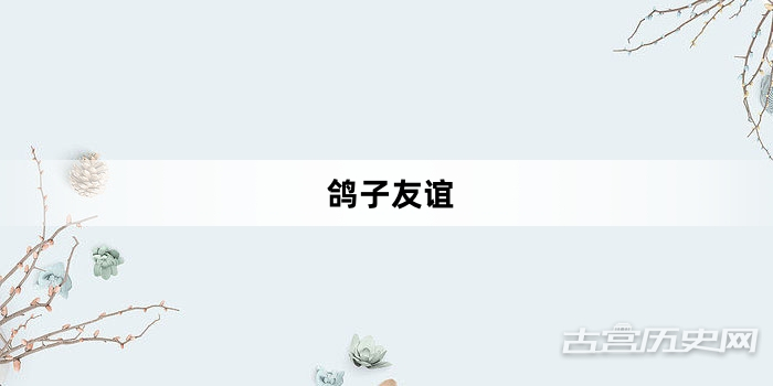 “鸽子友谊”网络梗词解释