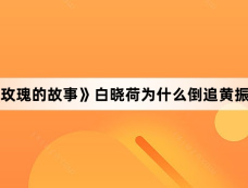 《玫瑰的故事》白晓荷为什么倒追黄振华