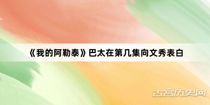 《我的阿勒泰》巴太在第几集向文秀表白