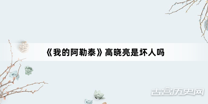 《我的阿勒泰》高晓亮是坏人吗