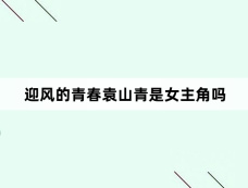 迎风的青春袁山青是女主角吗